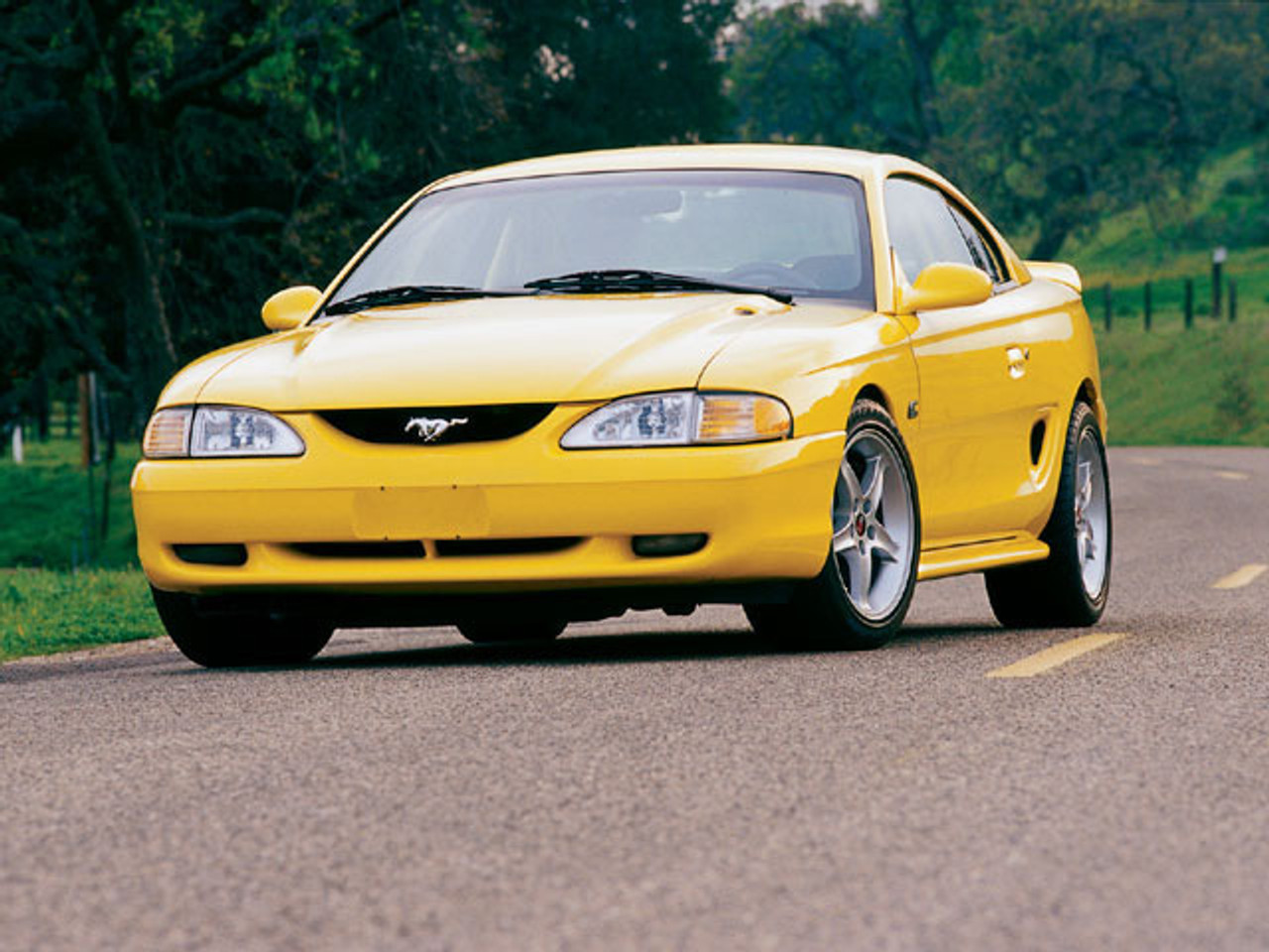 1994-2004