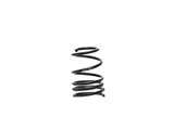 Swift Spring Spec-R Spring Honda Civic Type-R FL5 2023+
