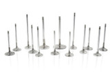 Ferrea 35mm 22 Deg Flo + 3mm Competition Plus Exhaust Valve - Single Toyota 1FZFE 1983-2023 Ferrea 35mm 22 Deg Flo + 3mm Competition Plus Exhaust Valve - Single Toyota 1FZFE 1983-2023