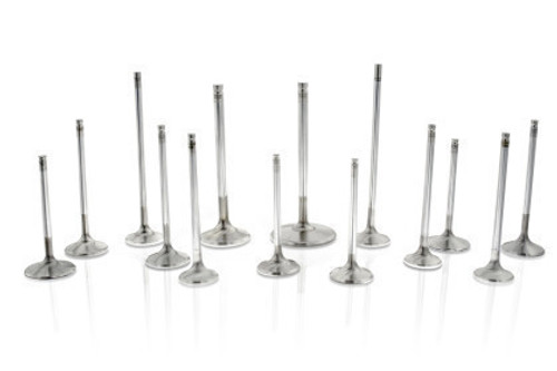 Ferrea 31.60mm 21 Deg Flo Dish Hd +1mm Comp Plus Exhaust Valve - Single Toyota 2RZ|3RZ 1983-2023 Ferrea 31.60mm 21 Deg Flo Dish Hd +1mm Comp Plus Exhaust Valve - Single Toyota 2RZ|3RZ 1983-2023