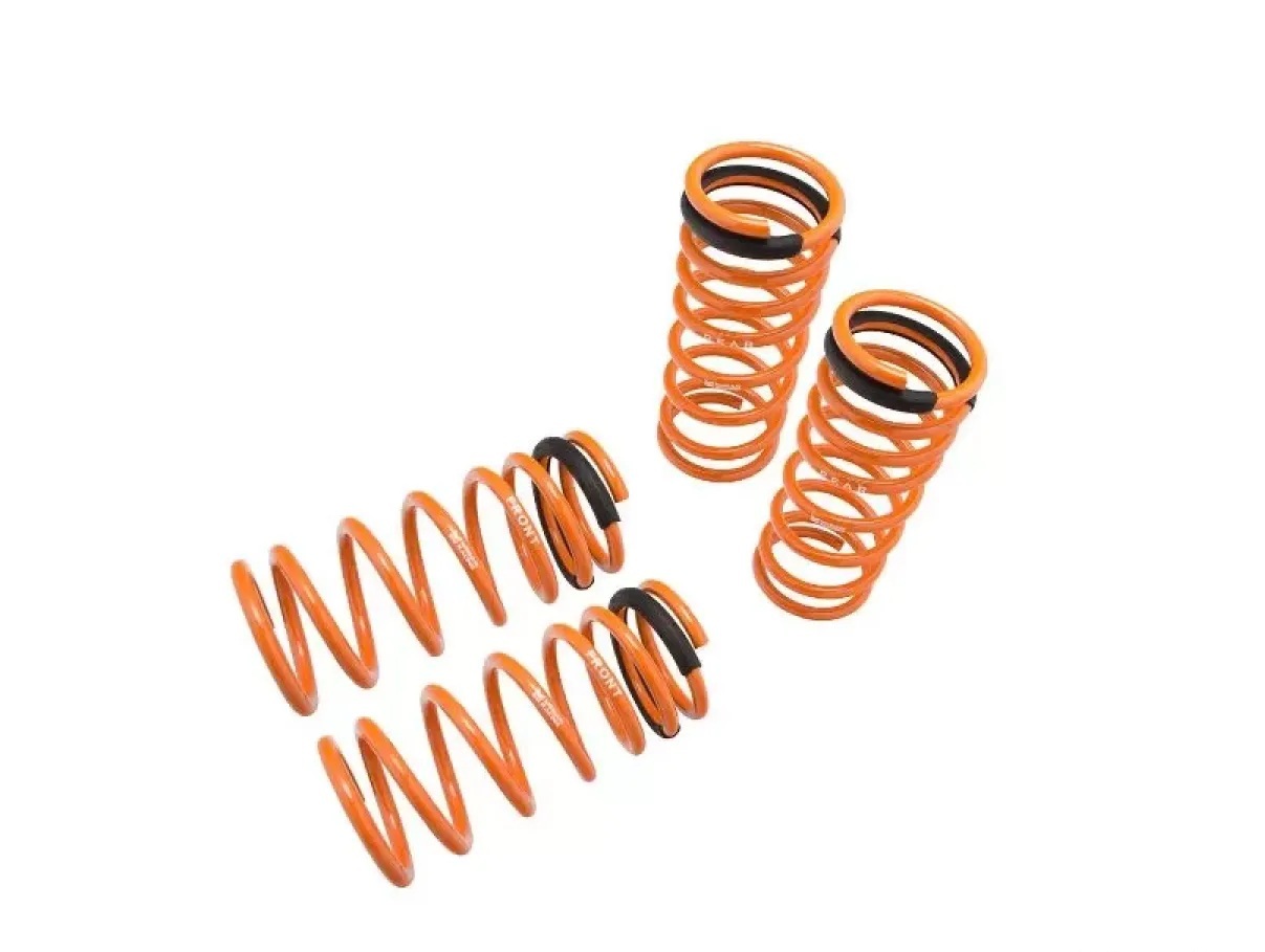 Lowering Springs