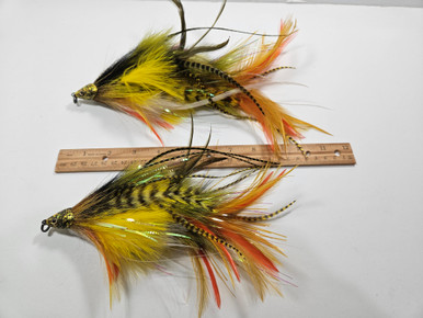 20231230_144401__86002.