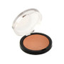 GLOW FINISH POWDER 200