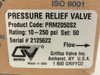 Griffco PRM2050S2; Pressure Relief Valve;10-250PSI; 1/2 FNPT