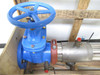 Watts 957-FS NRS-6; Reduced Pressure Zone Valve F111605