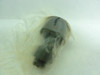 Consolidated CRSBC-24; Cam Follower; Roller:1.5"OD; 0.875"Width