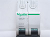 Schneider MGN61313; Circuit Breaker; 2-Pole; 2A; 480VAC