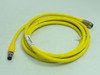Turck RKG 4.4T-3-RSE 4.4T/S600; Euro Fast Cable U5317-93; 2m