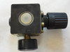 EWO 420.263; Pressure Regulator w/ Gauge; 0-225PSI