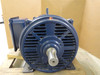 Marathon 365TSTDBD6001; AC Motor; 100HP; 230/460V; 3568RPM