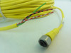 IFM E18208; Female cordset; 1/2" connector; 3 Wire; 25meter