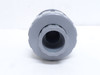 Hayward TC20075ST; Inline Ball Check Valve; Size: 3/4"