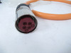 Amphenol CBL-ADP30KM5S; Hollymatic Motor Power Cable 6805173