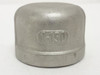 SCI MDL-UNKN-149191; Threaded Pipe Cap SS-316; 1 FNPT
