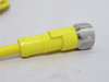 IFM E18206; Female Cordset; 3-Wire; 5m Long; 1/2" Connector