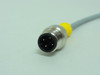 Turck BIM-PSM-AP6X; Magnetic Prox Sensor; 10~30VDC; 200mA; 2m W