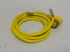 Turck WKM20-2M; Mini-Fast Connector U2138; RA; 2m Long