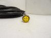 Turck RKVH46D-10M/S760/S771; Female Cord Set U-20661;16AWG; 600V