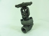 Bonney Forge 3/4-HL-11-LE; Gate Valve 3/4"NPT X 3/4"Socket Weld
