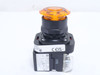 Allen-Bradley 800H-FRXMQH2AA7; Amber Illuminated Switch