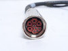 Allen-Bradley 2090-CPBM4E2-14TR; Cable W/Brake Wire; Motor End
