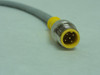 Turck VBS 2-D669-10M-RS 5.3T; Valve Plug; U99-14774; 10m; 24VDC