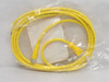 Turck PKG 4M-2-WS 4.4TU0934-77; Molded Cordset U0934-77