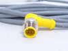 Turck WS 4.5T-3/5653; Single-Ended Mating Cable U-09024; 250V
