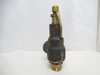 Kunkle 6010JHM01-LM; Bronze Safety Relief Valve 2 x 2-1/2NPT
