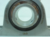 EDT ZY1AG8-1-3/4; Pillow Block Bearing; 2-Bolt; 1.75"ID; SS