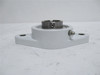 AMI MUCNFL206-20W; Polymer Flange Bearing 1-1/4"ID; 2-Bolt