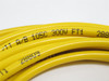 BALLUFF C49APE00VY050M; Connector Cable 1200860291; 3-Wire