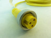 Leuze 150914; Connection Cable; 300V; 8A