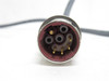 Lenze EWAL001ZM-001; Servo Connector Cable Assembly