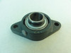 INA RCJT25; Flange Bearing; 2-Bolt; 25mm ID