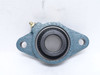 Dodge F2B-SXR-100; Flange Bearing 131058; 1"ID; 2-Bolt Mount