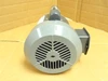 Marathon 5KC42GN0014A; AC Motor; 1/2HP; 115/208-230V; 1725RPM