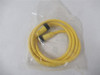 Woodhead 1300100147; Cordset 2P  6'  16 AWG