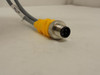 Turck U0871-32; Molded Cordset; VBRS4.4-2RKK4T-0.3/0.3