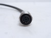 Turck RKV 4.4T-10/5760/S771; Single Ended Cordset; U-20448