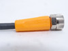 ifm EVC151; Female Connector; 3A; 50VAC; 60VDC