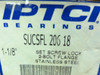 IPTCI SUCSFL-206-18; SS Flange Bearing; Two-Bolt; 1.125"ID