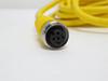 Turck RKC 4T-6; Cordset U53005-10; 3 Wire; 6m Length