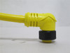 Molex 1300060426; Mini-Change Cordset 90Deg; 3-Pin; 6.6' Long