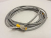 TURCK U99-11698; Euro-Fast Molded Cordset 300V 10' Long