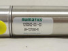 Numatics 1250D02-031-03; Air Cylinder; SS; 1-1/4"ID x 3-1/2" L