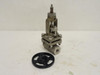 Powell Valve 215499; Bolted Bonnet Gate Valve 1/4NPT; SS-CF8M