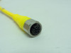 Woodhead 804000D01M0208; Molded Cordset; 2m; 4A; 250V; 4-Pin