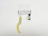 Arrow RL17SR26DIC; Classroom Door Lever Lockset