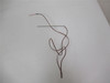 Pacmac Inc 92000073Q; Heat Probe